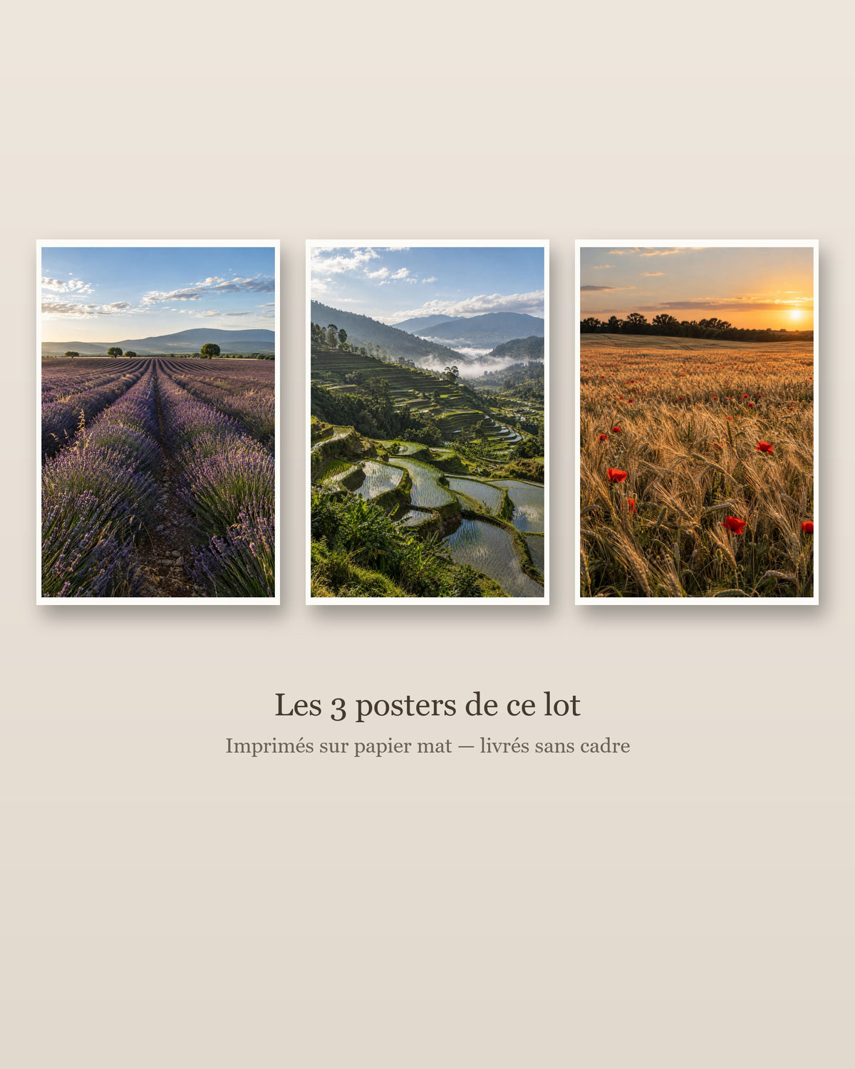 Lot Champs et Campagne - 3 Posters Sans Cadre Nature Champêtre - Papier Mat
