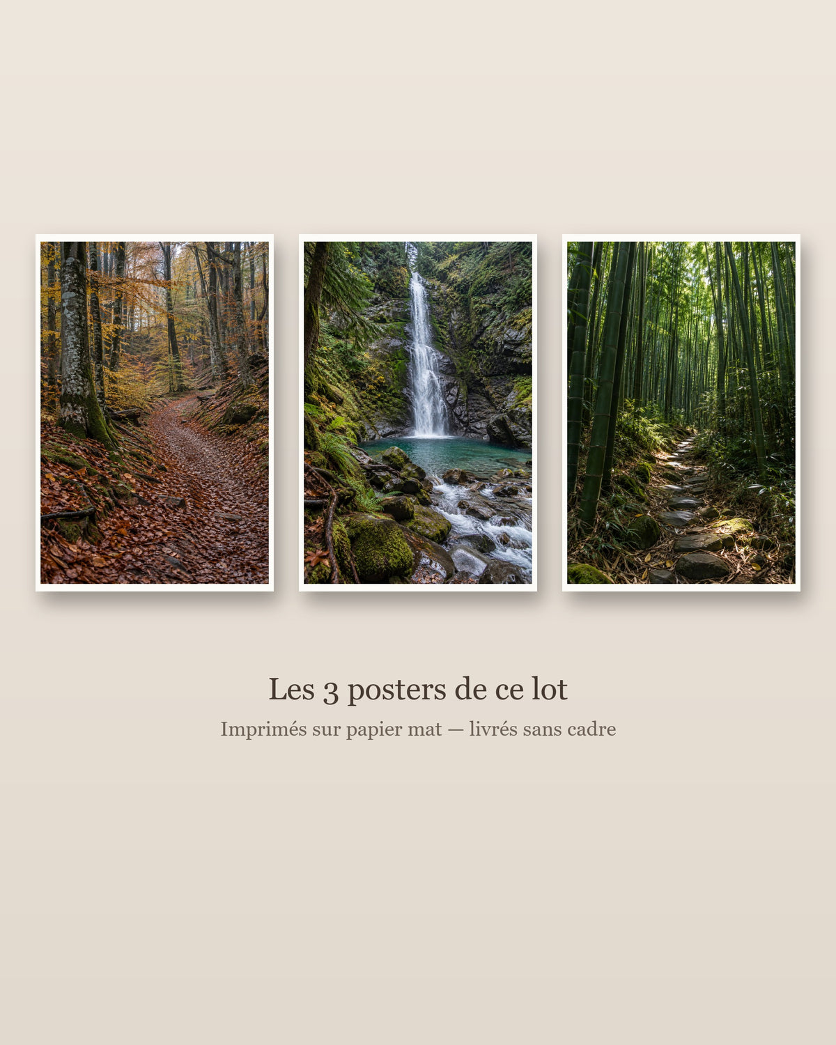 Lot Forêts Apaisantes - 3 Posters Sans Cadre Nature Forêt - Papier Mat