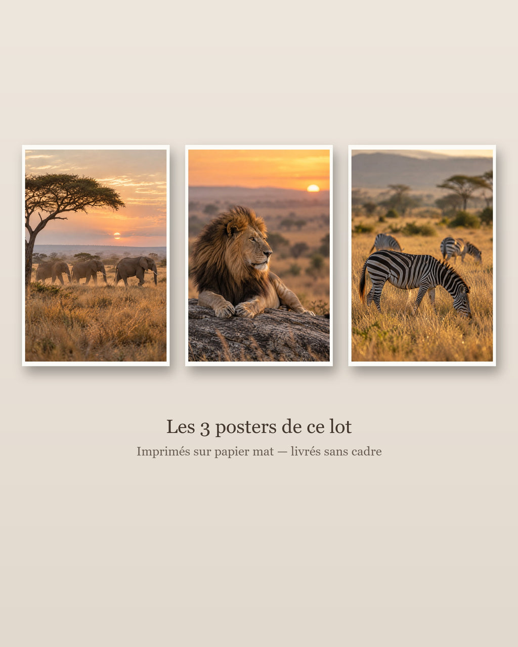 Lot Savane Dorée - 3 Posters Sans Cadre Nature Afrique - Papier Mat