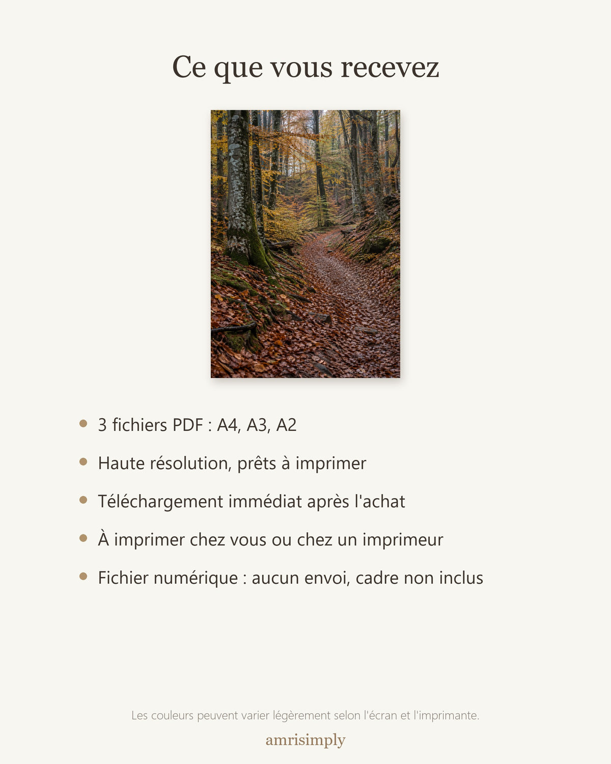 Poster Forêt de Hêtres en Automne à Imprimer - Affiche Nature - Décoration Murale - Téléchargement Numérique