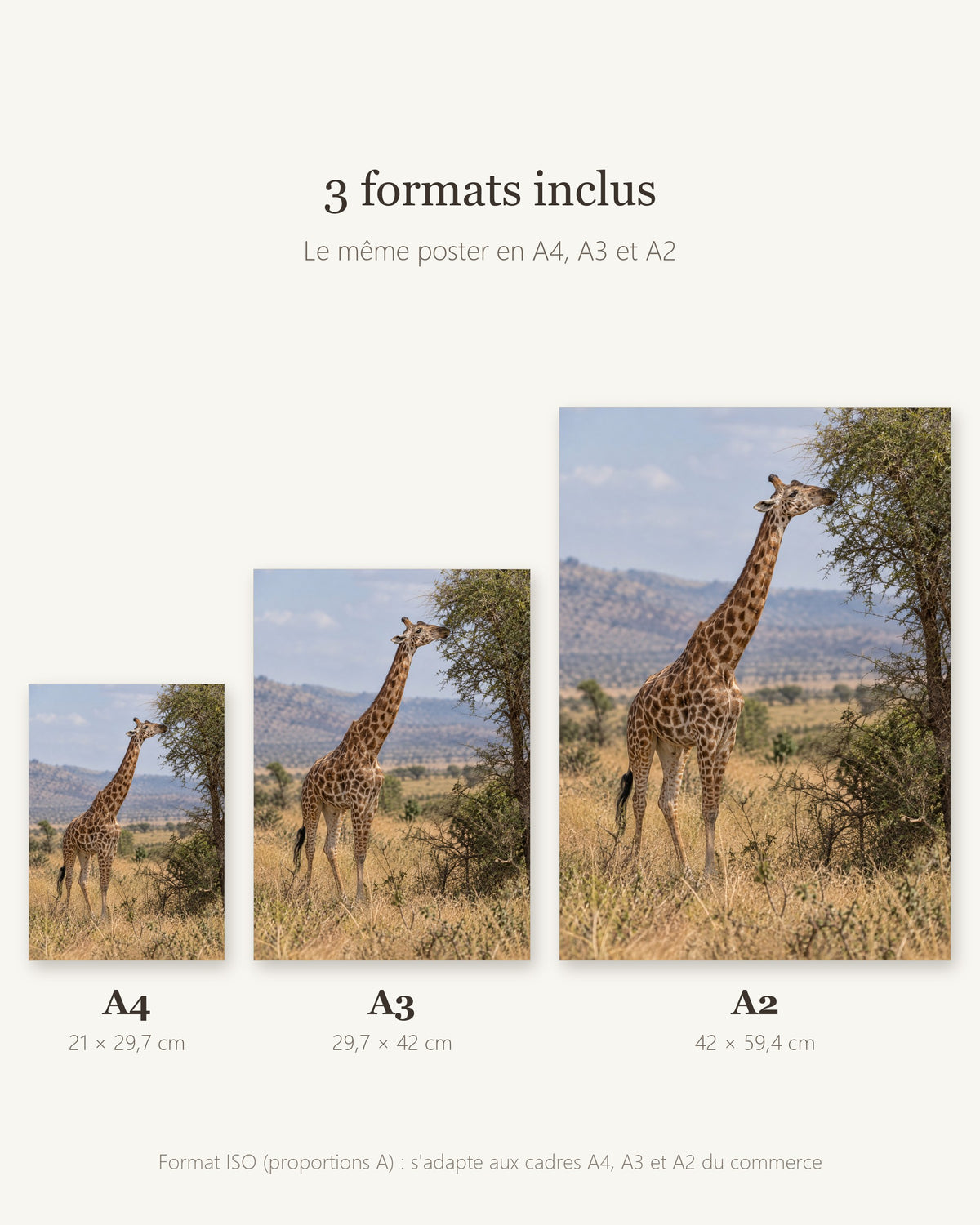 Poster Girafe à Imprimer - Affiche Nature - Décoration Murale - Téléchargement Numérique