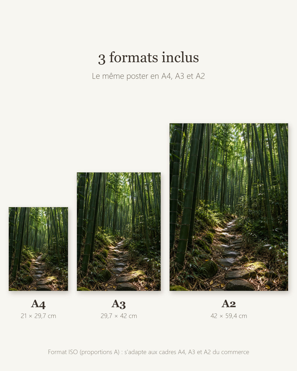 Poster Forêt de Bambous à Imprimer - Affiche Nature - Décoration Murale - Téléchargement Numérique