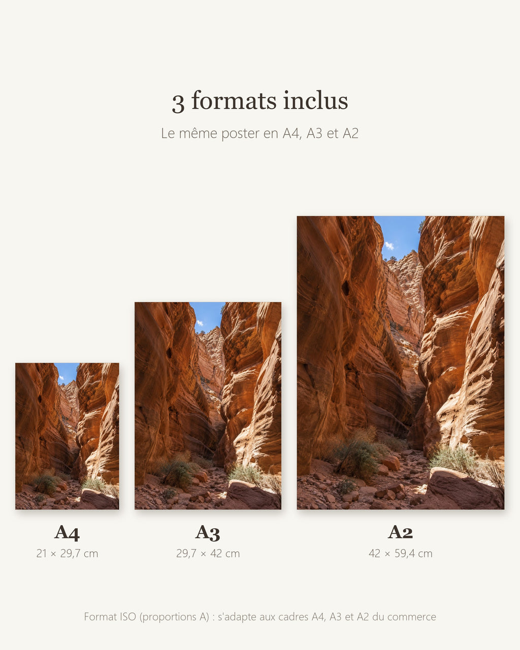 Poster Canyon de Grès à Imprimer - Affiche Nature - Décoration Murale - Téléchargement Numérique