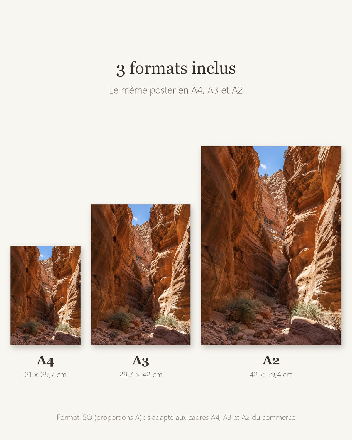 Poster Canyon de Grès à Imprimer - Affiche Nature - Décoration Murale - Téléchargement Numérique