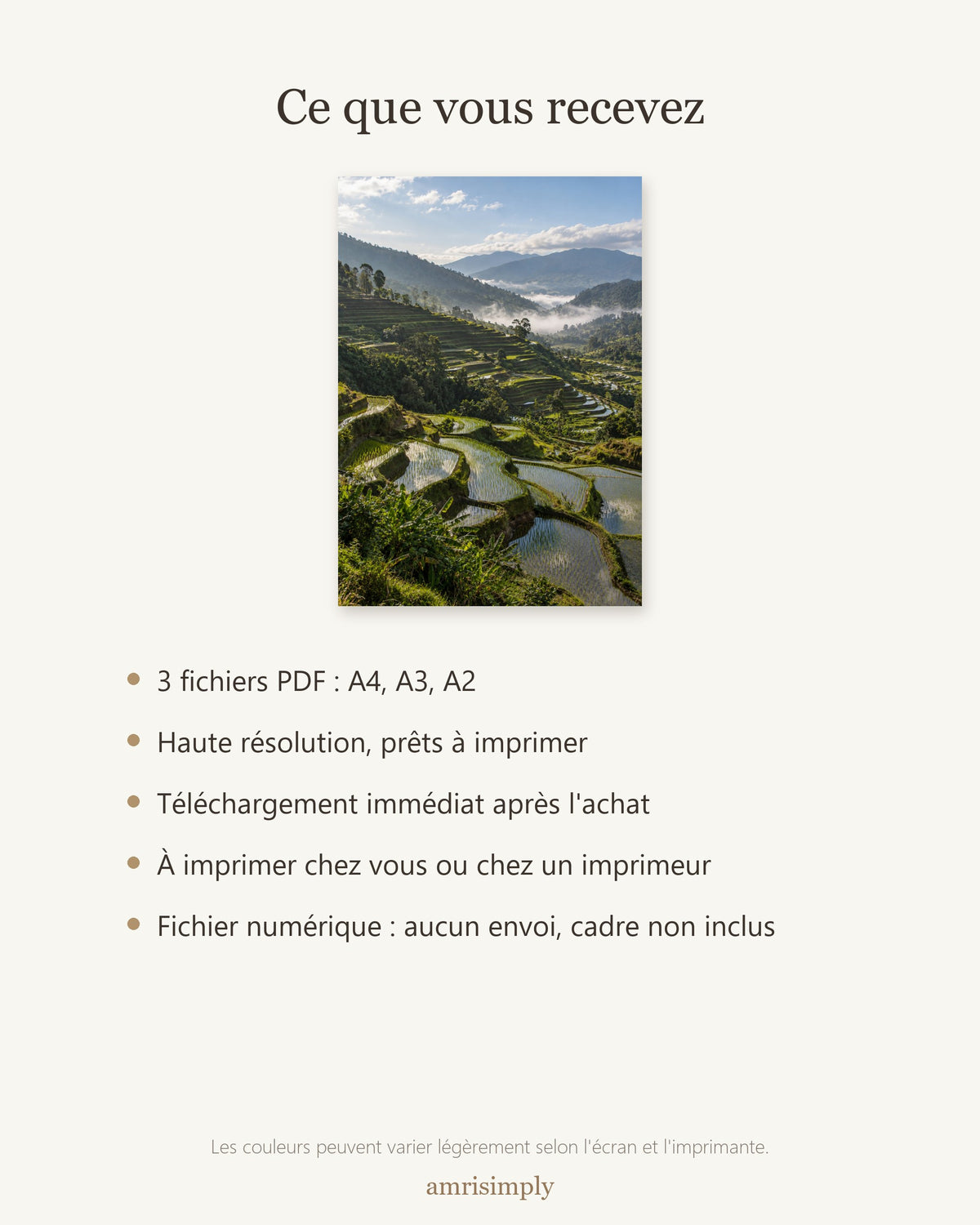 Poster Rizières en Terrasses à Imprimer - Affiche Nature - Décoration Murale - Téléchargement Numérique