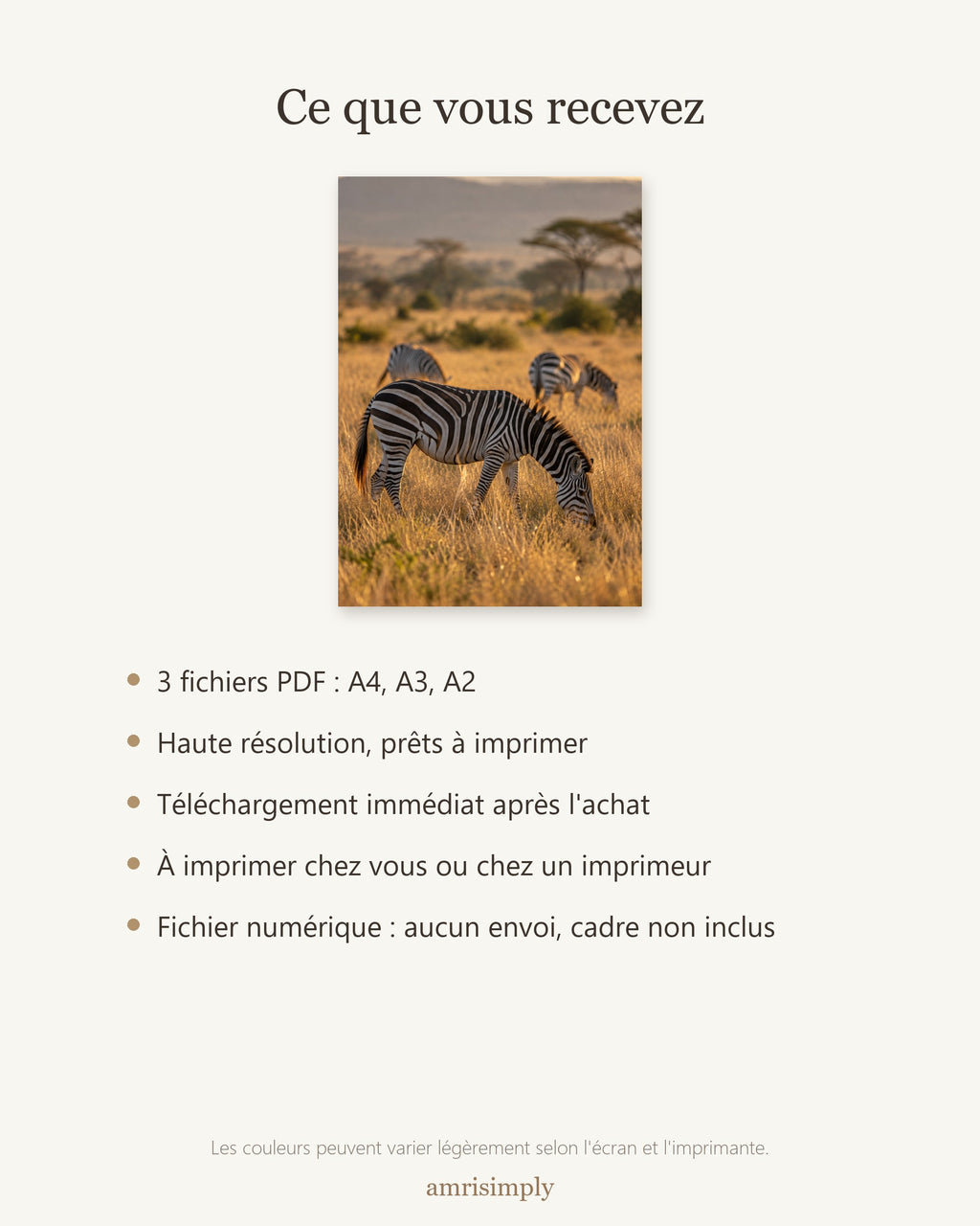 Poster Zèbres dans la Savane à Imprimer - Affiche Nature - Décoration Murale - Téléchargement Numérique