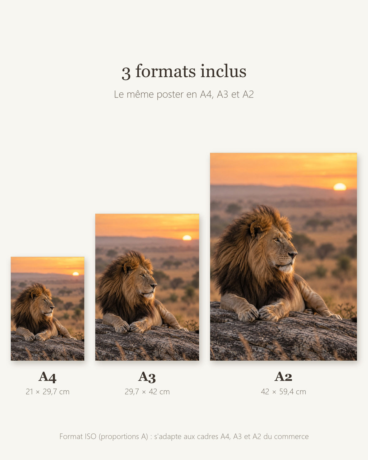 Poster Lion au lever du jour à Imprimer - Affiche Nature - Décoration Murale - Téléchargement Numérique
