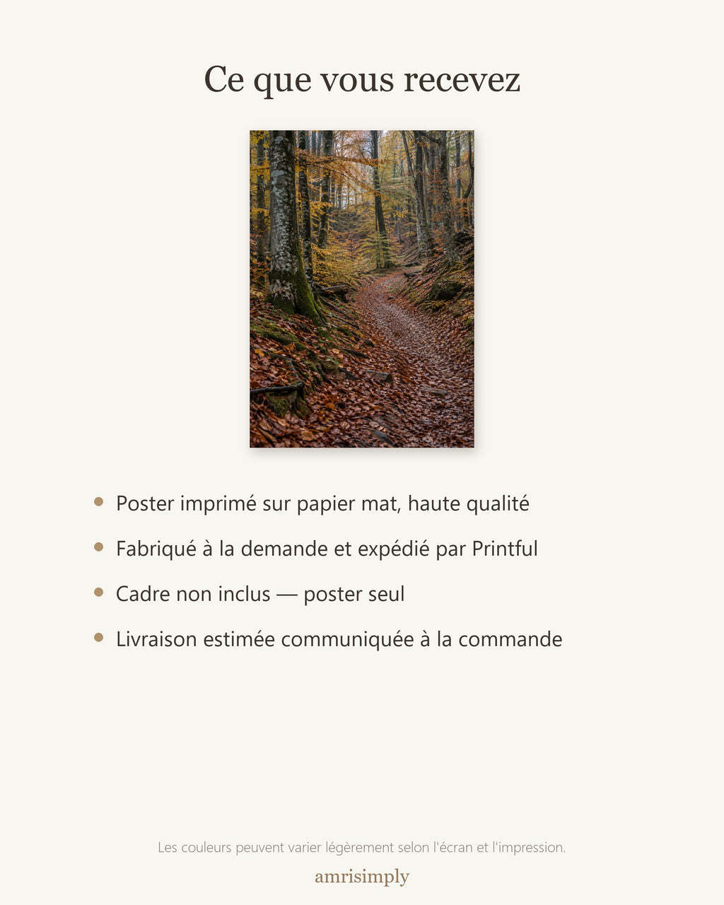 Poster Forêt de Hêtres en Automne Sans Cadre - Affiche Nature - Papier Mat - Décoration Murale