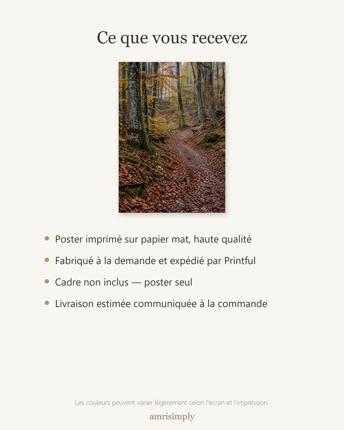 Poster Forêt de Hêtres en Automne Sans Cadre - Affiche Nature - Papier Mat - Décoration Murale