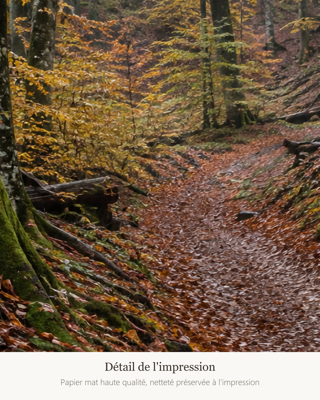 Poster Forêt de Hêtres en Automne Sans Cadre - Affiche Nature - Papier Mat - Décoration Murale