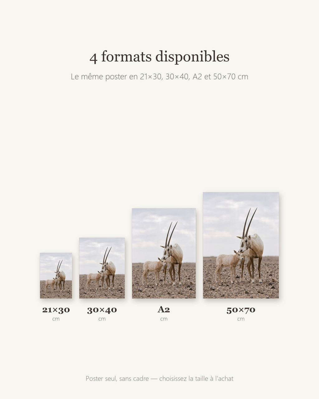 Poster Oryx d'Arabie et son Petit Sans Cadre - Affiche Nature - Papier Mat - Décoration Murale