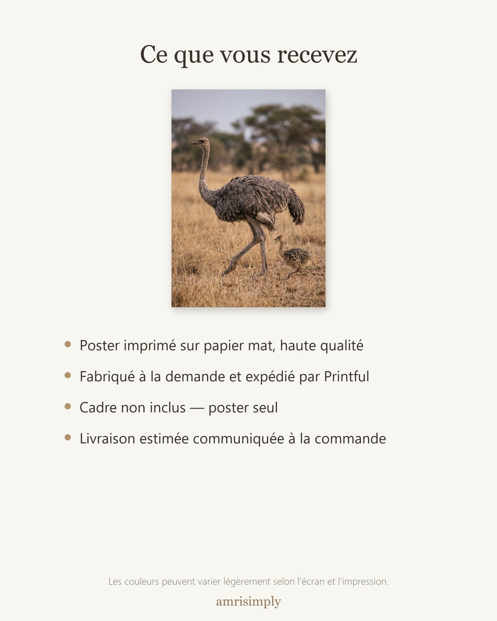 Poster Autruche et son Poussin Sans Cadre - Affiche Nature - Papier Mat - Décoration Murale