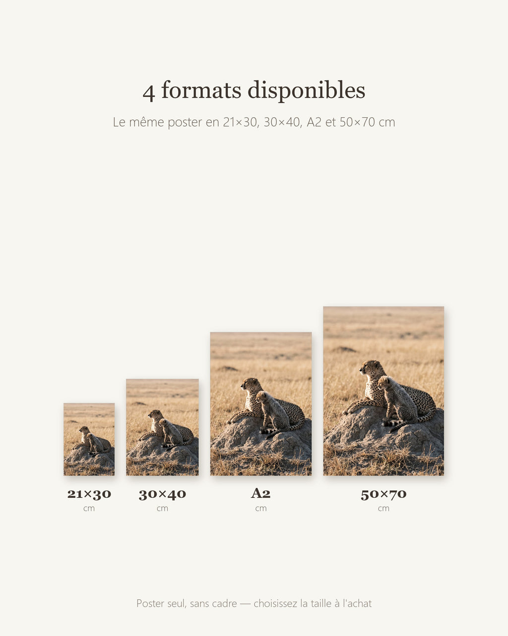 Poster Guépard et son Petit Sans Cadre - Affiche Nature - Papier Mat - Décoration Murale