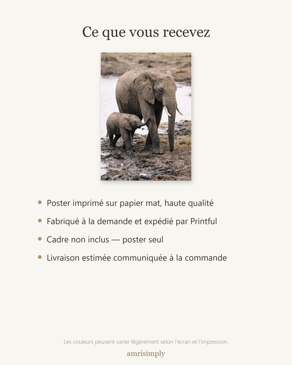 Poster Éléphante et son Éléphanteau Sans Cadre - Affiche Nature - Papier Mat - Décoration Murale