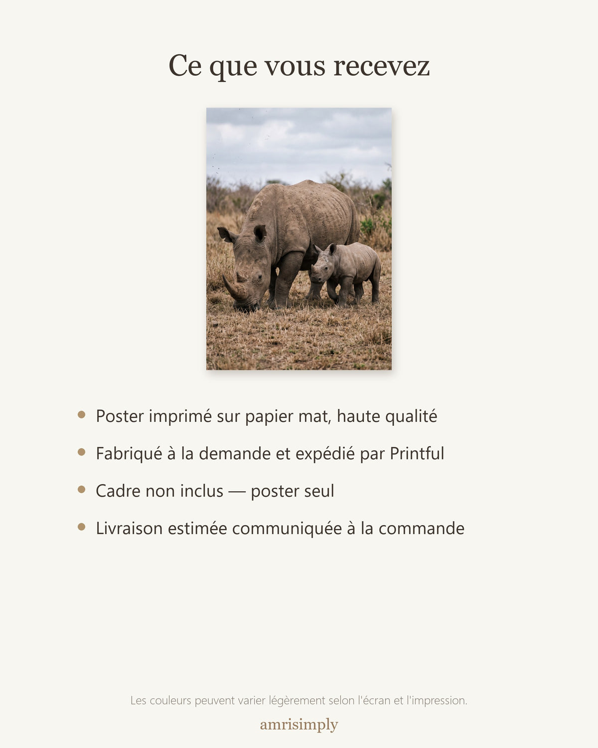 Poster Rhinocéros Blanc et son Petit Sans Cadre - Affiche Nature - Papier Mat - Décoration Murale