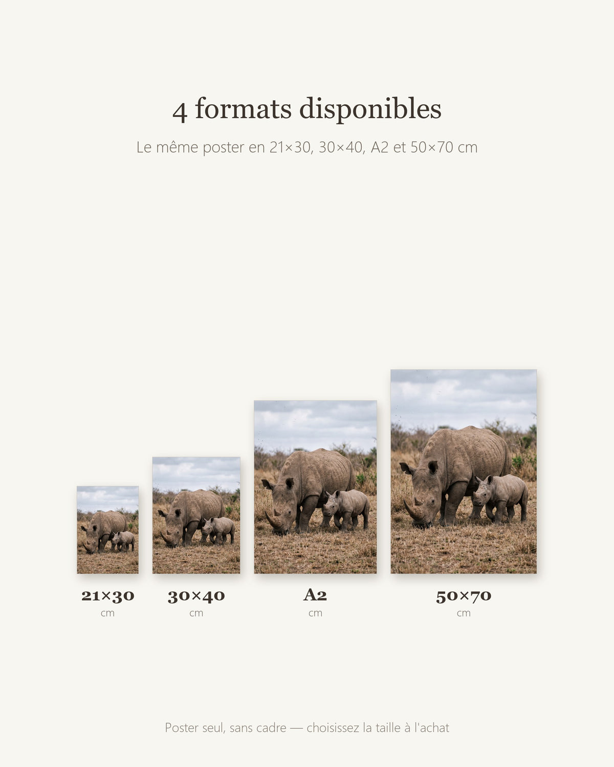 Poster Rhinocéros Blanc et son Petit Sans Cadre - Affiche Nature - Papier Mat - Décoration Murale