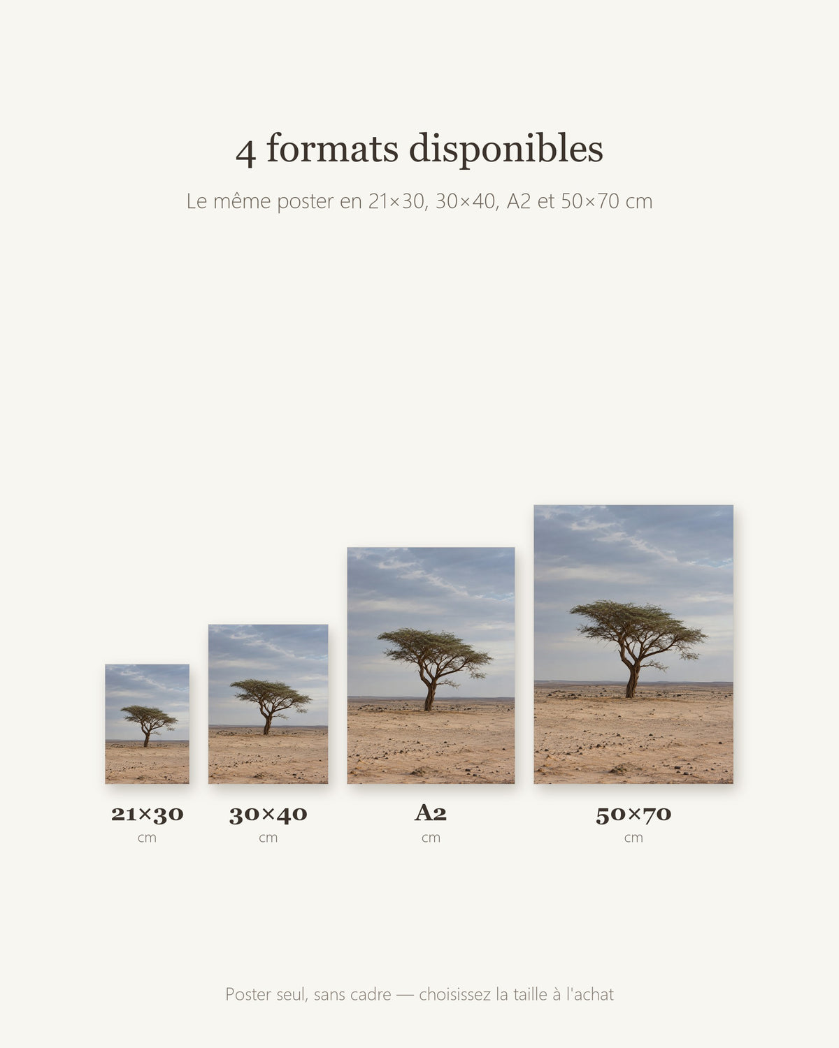 Poster Acacia du Ténéré Niger Sans Cadre - Affiche Nature - Papier Mat - Décoration Murale
