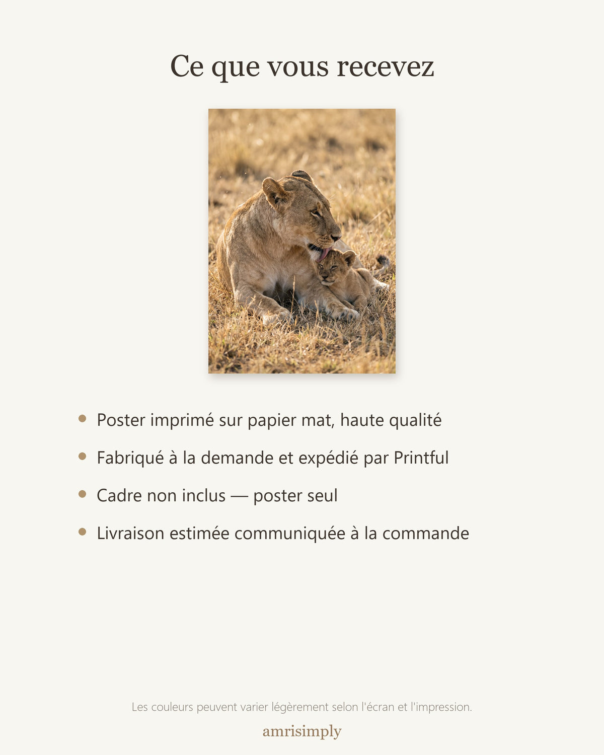 Poster Lionne et son Lionceau Sans Cadre - Affiche Nature - Papier Mat - Décoration Murale