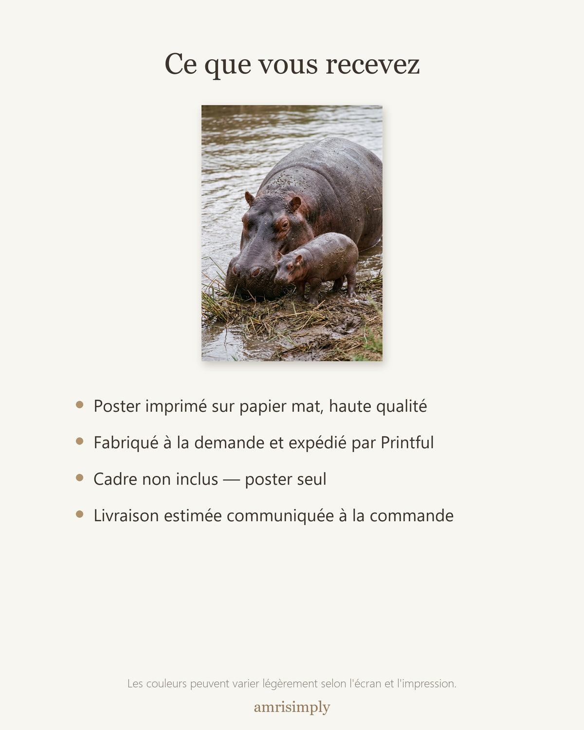 Poster Hippopotame et son Petit Sans Cadre - Affiche Nature - Papier Mat - Décoration Murale