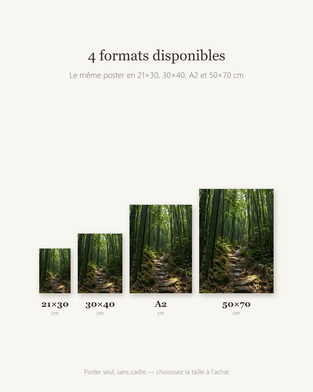 Poster Forêt de Bambous Sans Cadre - Affiche Nature - Papier Mat - Décoration Murale
