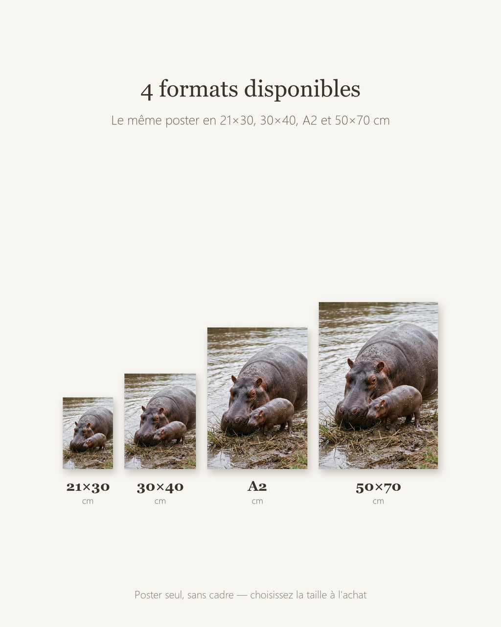 Poster Hippopotame et son Petit Sans Cadre - Affiche Nature - Papier Mat - Décoration Murale