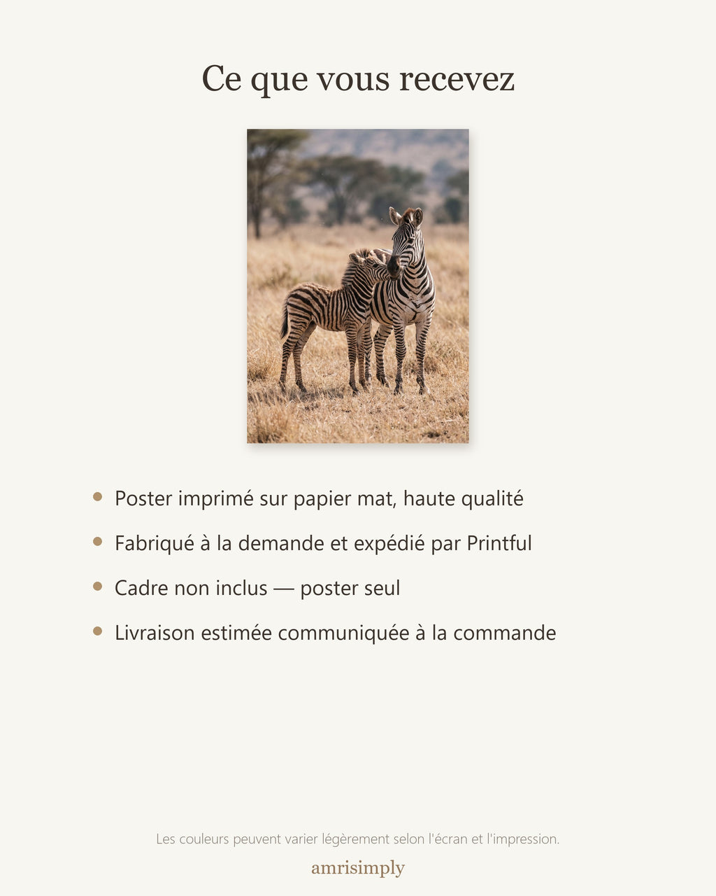 Poster Zèbre et son Poulain Sans Cadre - Affiche Nature - Papier Mat - Décoration Murale