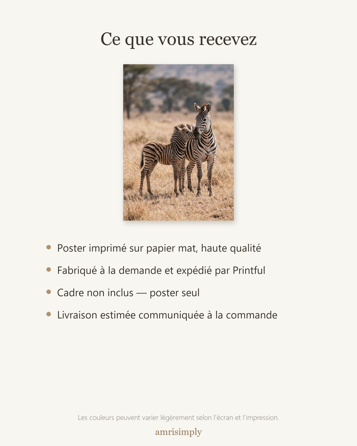 Poster Zèbre et son Poulain Sans Cadre - Affiche Nature - Papier Mat - Décoration Murale