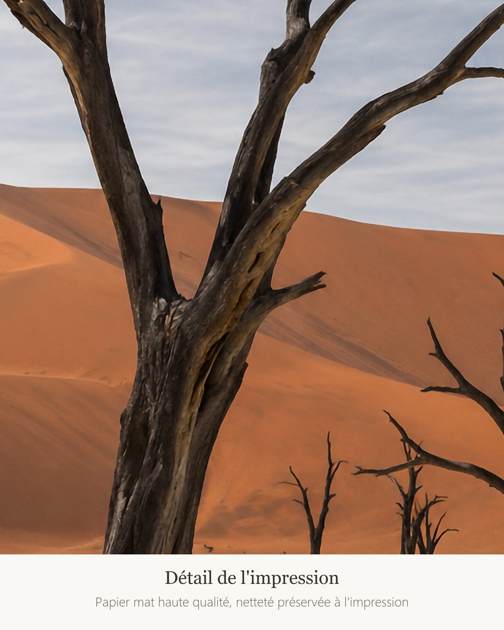 Poster Deadvlei Namibie Sans Cadre - Affiche Nature - Papier Mat - Décoration Murale