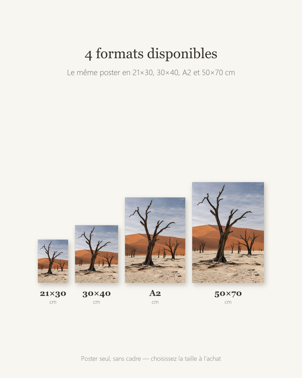 Poster Deadvlei Namibie Sans Cadre - Affiche Nature - Papier Mat - Décoration Murale