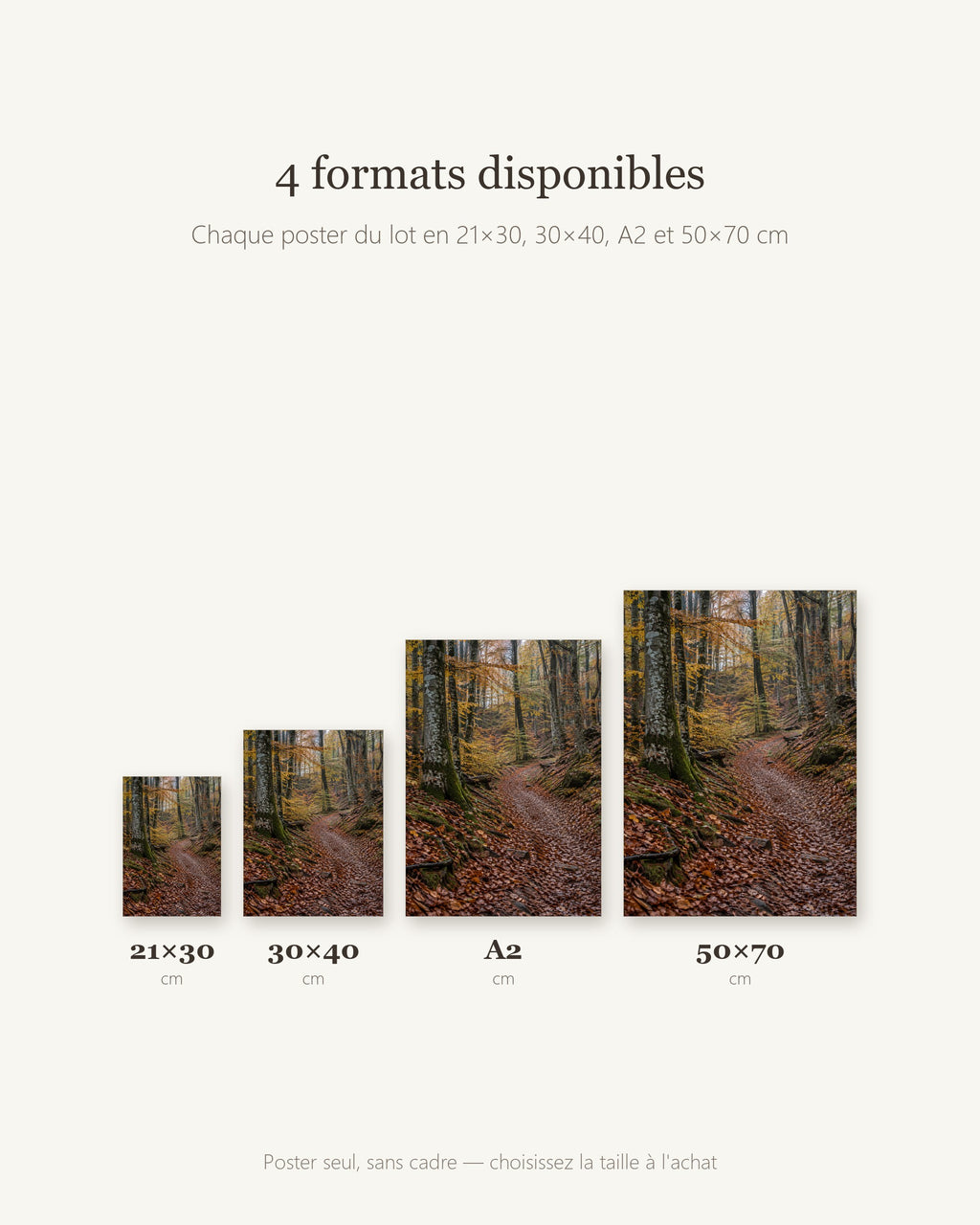Lot Forêts Apaisantes - 3 Posters Sans Cadre Nature Forêt - Papier Mat