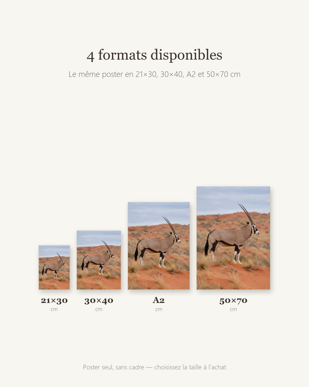 Poster Kalahari et oryx Sans Cadre - Affiche Animaux Sauvages - Papier Mat - Décoration Murale
