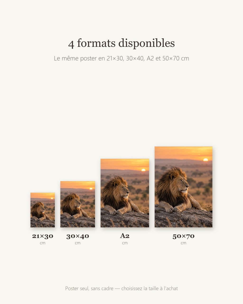 Poster Lion au lever du jour Sans Cadre - Affiche Nature - Papier Mat - Décoration Murale
