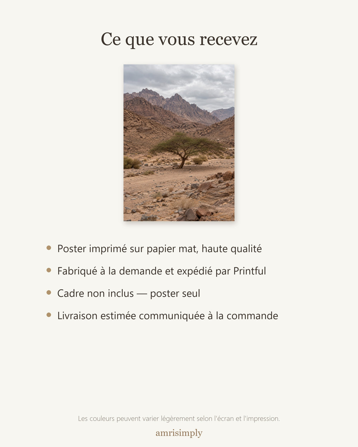 Poster Désert du Sinaï Sans Cadre - Affiche Nature - Papier Mat - Décoration Murale