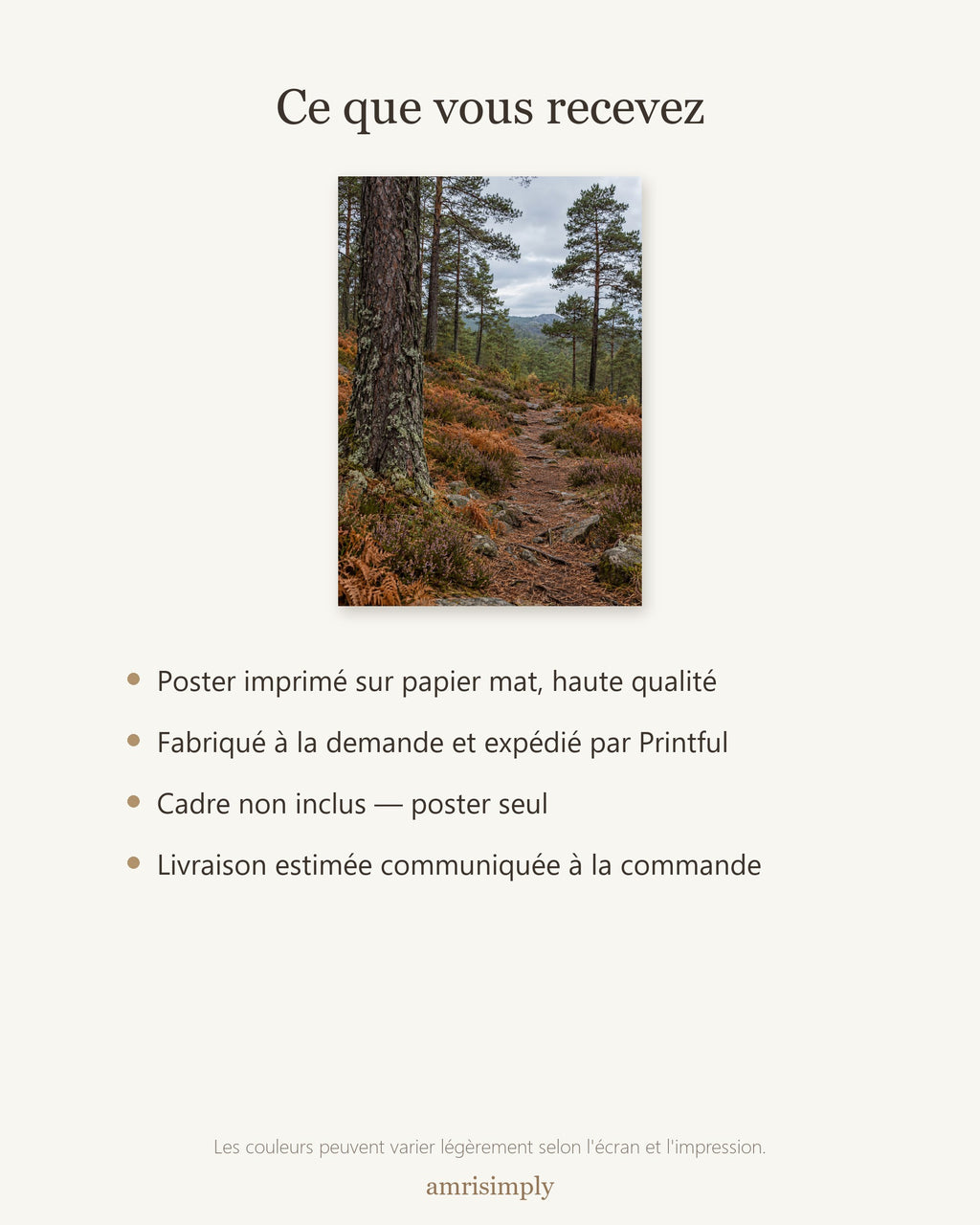 Poster Sentier en forêt de pins Sans Cadre - Affiche Nature - Papier Mat - Décoration Murale