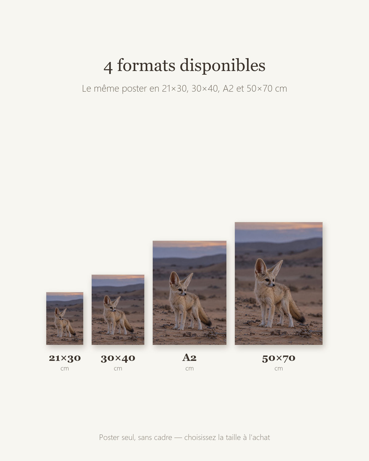 Poster Renard fennec Sans Cadre - Affiche Animaux Sauvages - Papier Mat - Décoration Murale