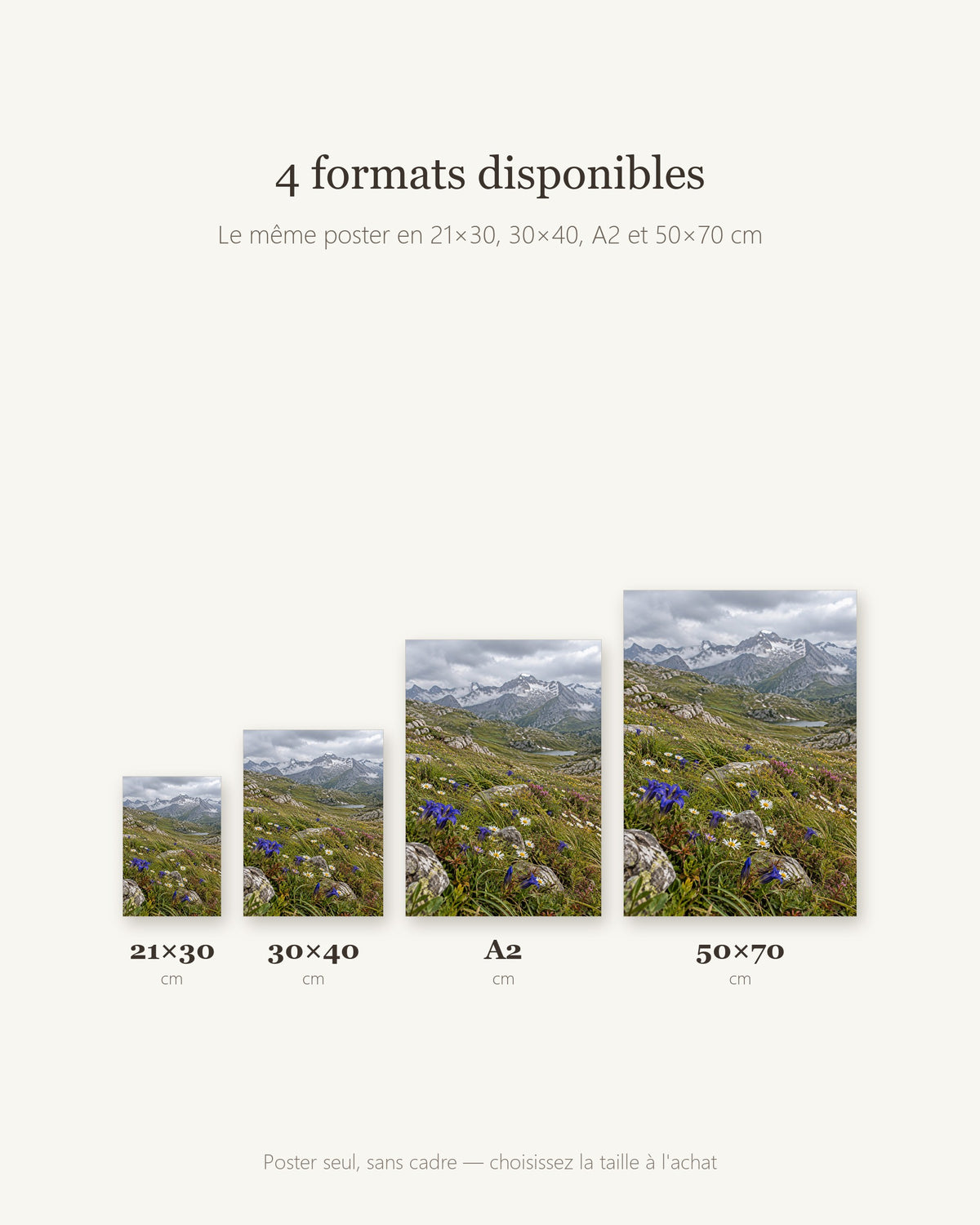 Poster Prairie alpine en fleurs Sans Cadre - Affiche Nature - Papier Mat - Décoration Murale