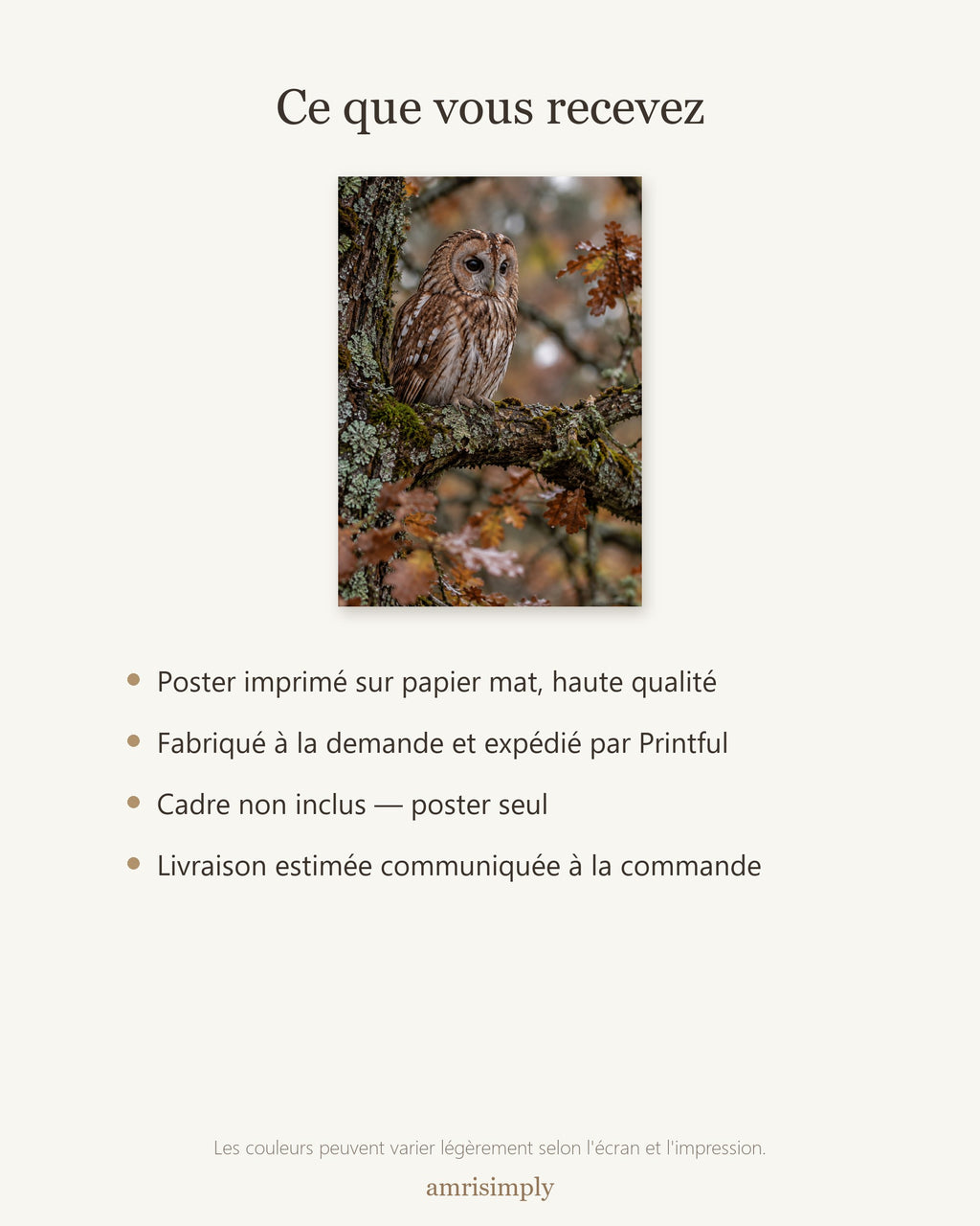 Poster Chouette hulotte Sans Cadre - Affiche Animaux Sauvages - Papier Mat - Décoration Murale