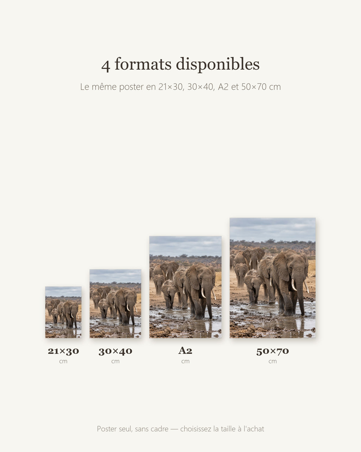 Poster Éléphants au point d'eau Sans Cadre - Affiche Animaux Sauvages - Papier Mat - Décoration Murale