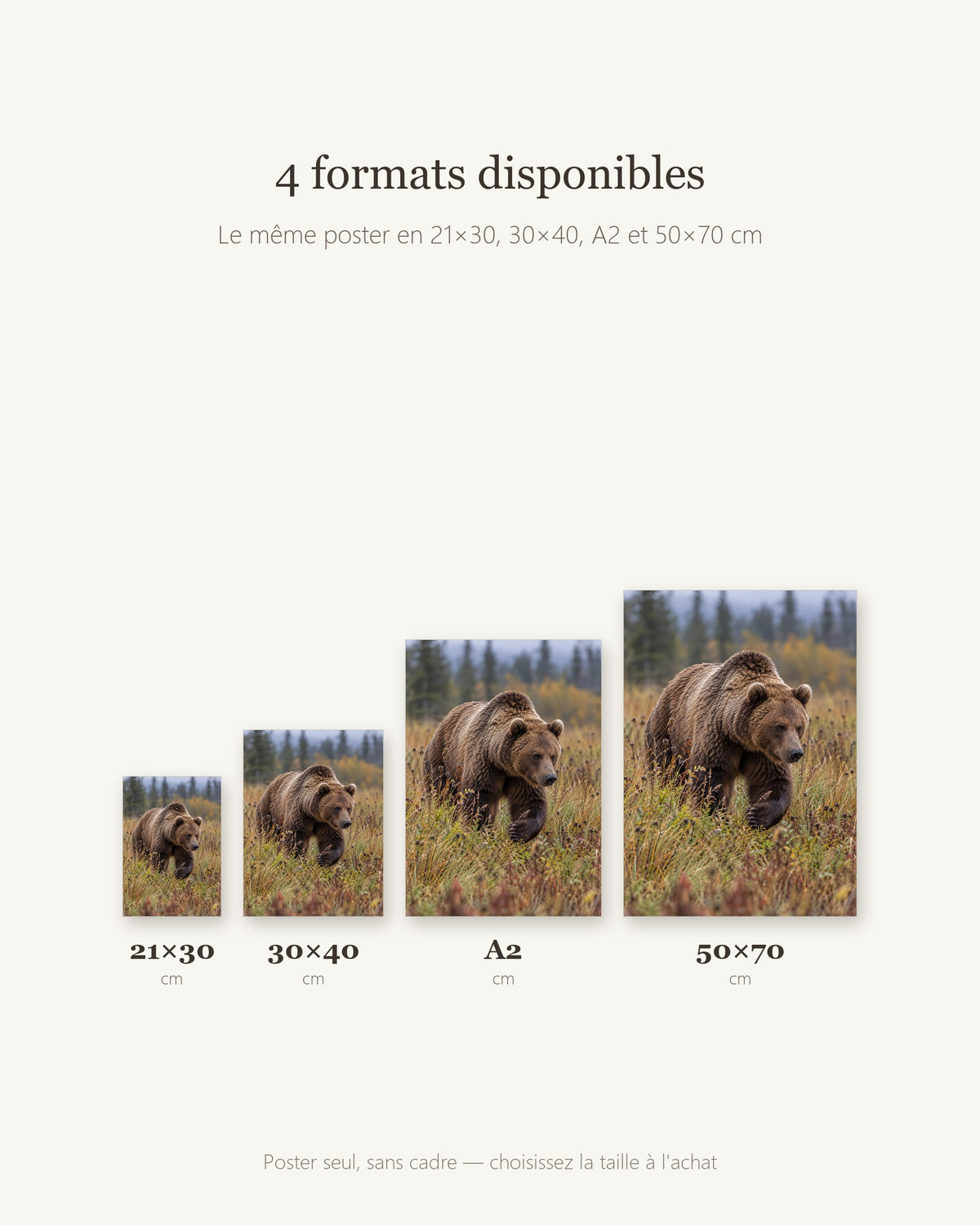 Poster Ours brun Sans Cadre - Affiche Animaux Sauvages - Papier Mat - Décoration Murale