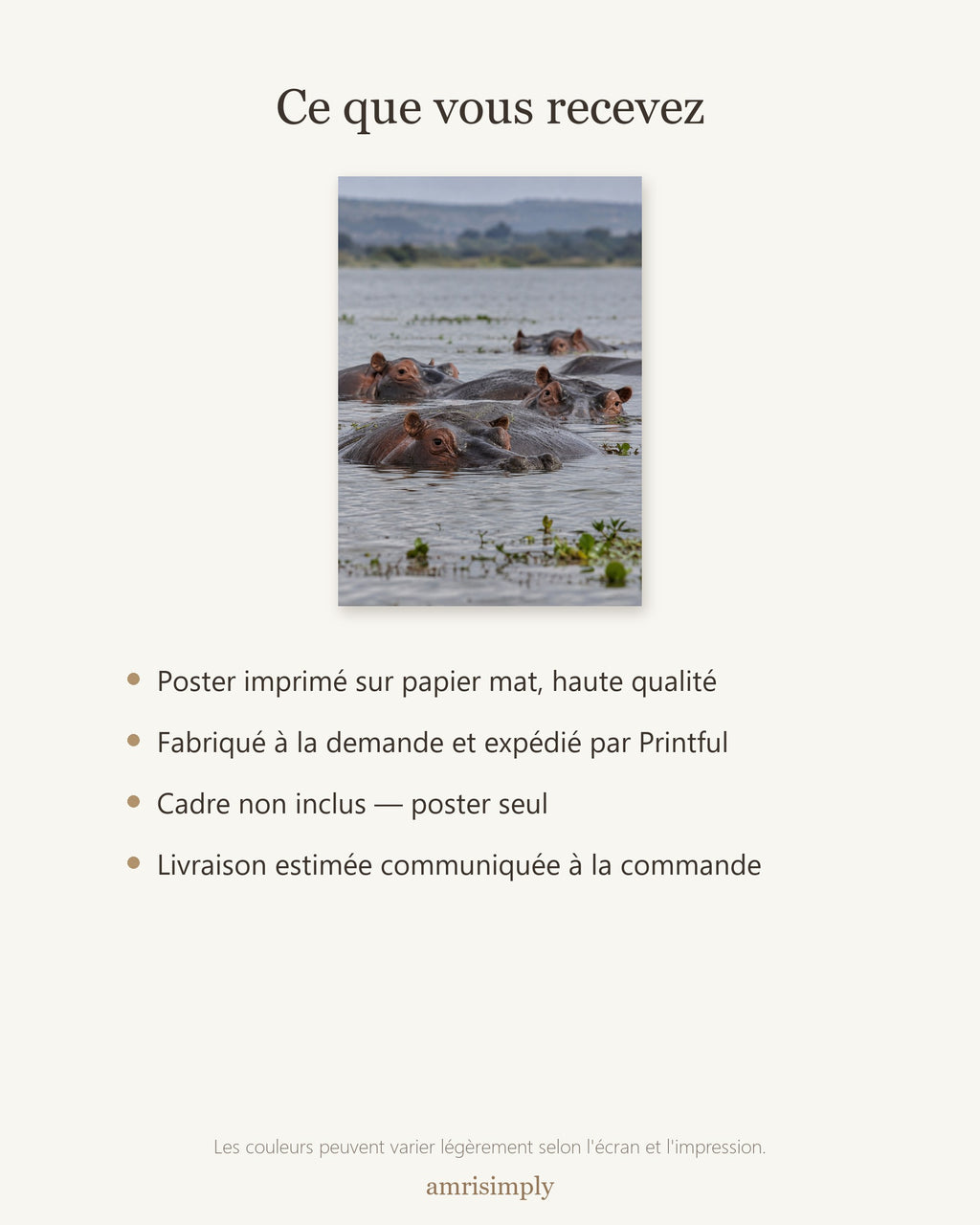 Poster Hippopotames Sans Cadre - Affiche Animaux Sauvages - Papier Mat - Décoration Murale