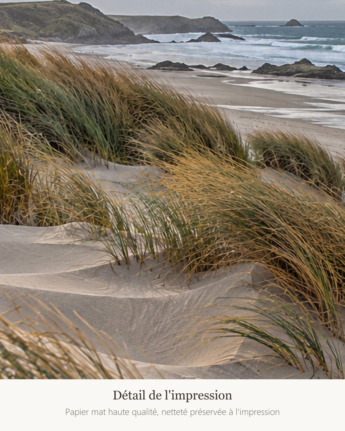Poster Dunes et oyats Sans Cadre - Affiche Nature - Papier Mat - Décoration Murale