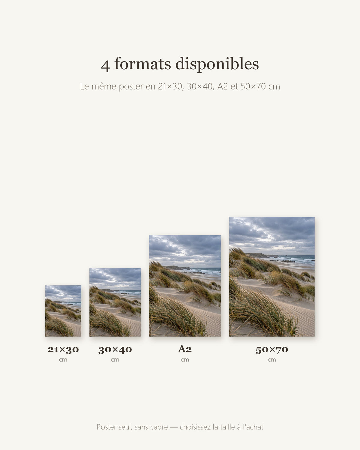 Poster Dunes et oyats Sans Cadre - Affiche Nature - Papier Mat - Décoration Murale