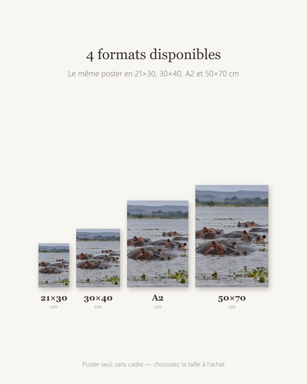 Poster Hippopotames Sans Cadre - Affiche Animaux Sauvages - Papier Mat - Décoration Murale