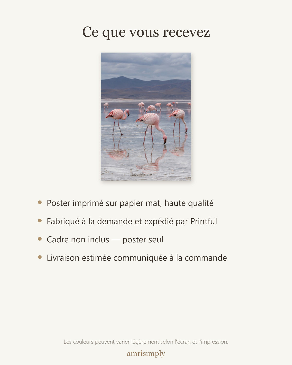 Poster Flamants roses lac salé Sans Cadre - Affiche Animaux Sauvages - Papier Mat - Décoration Murale