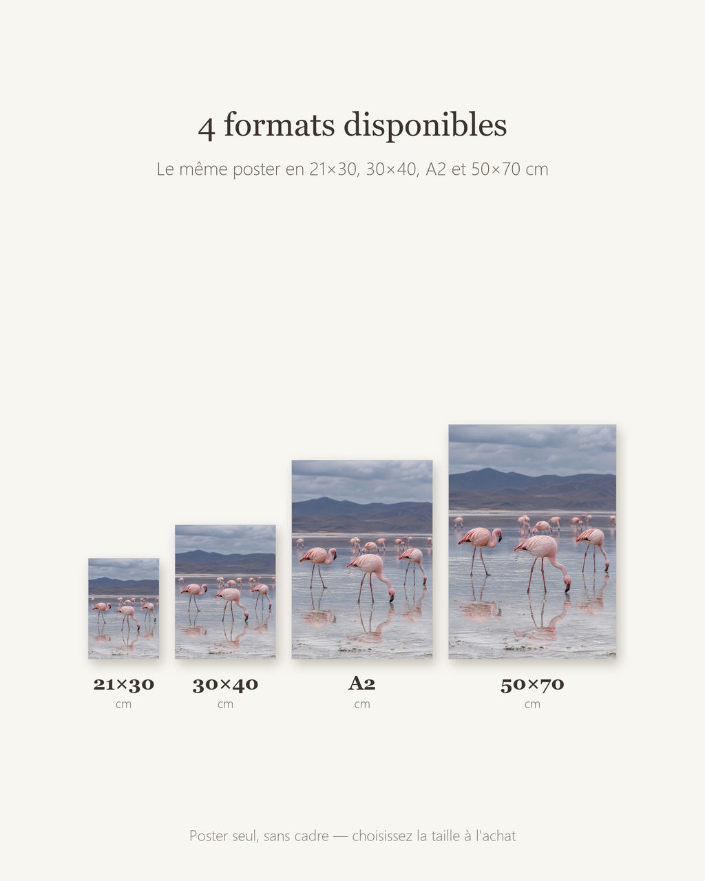 Poster Flamants roses lac salé Sans Cadre - Affiche Animaux Sauvages - Papier Mat - Décoration Murale