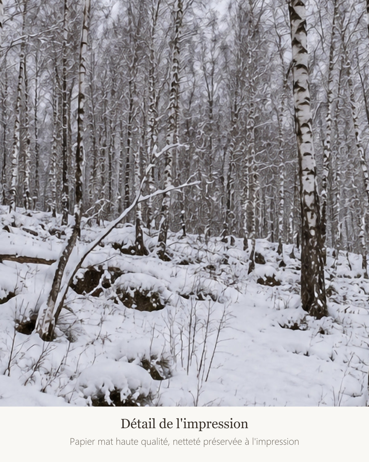 Poster Forêt de bouleaux sous la neige Sans Cadre - Affiche Nature - Papier Mat - Décoration Murale