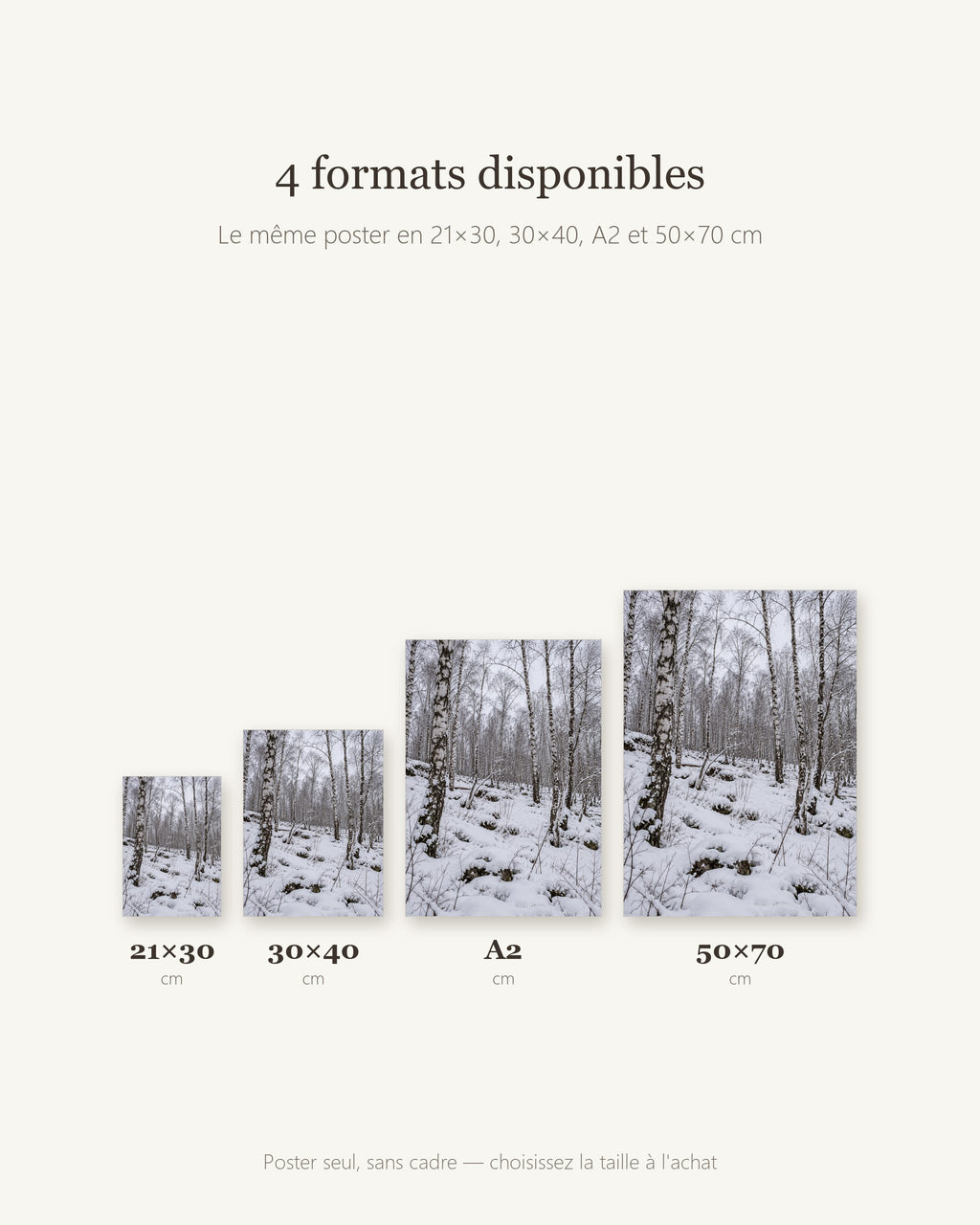 Poster Forêt de bouleaux sous la neige Sans Cadre - Affiche Nature - Papier Mat - Décoration Murale