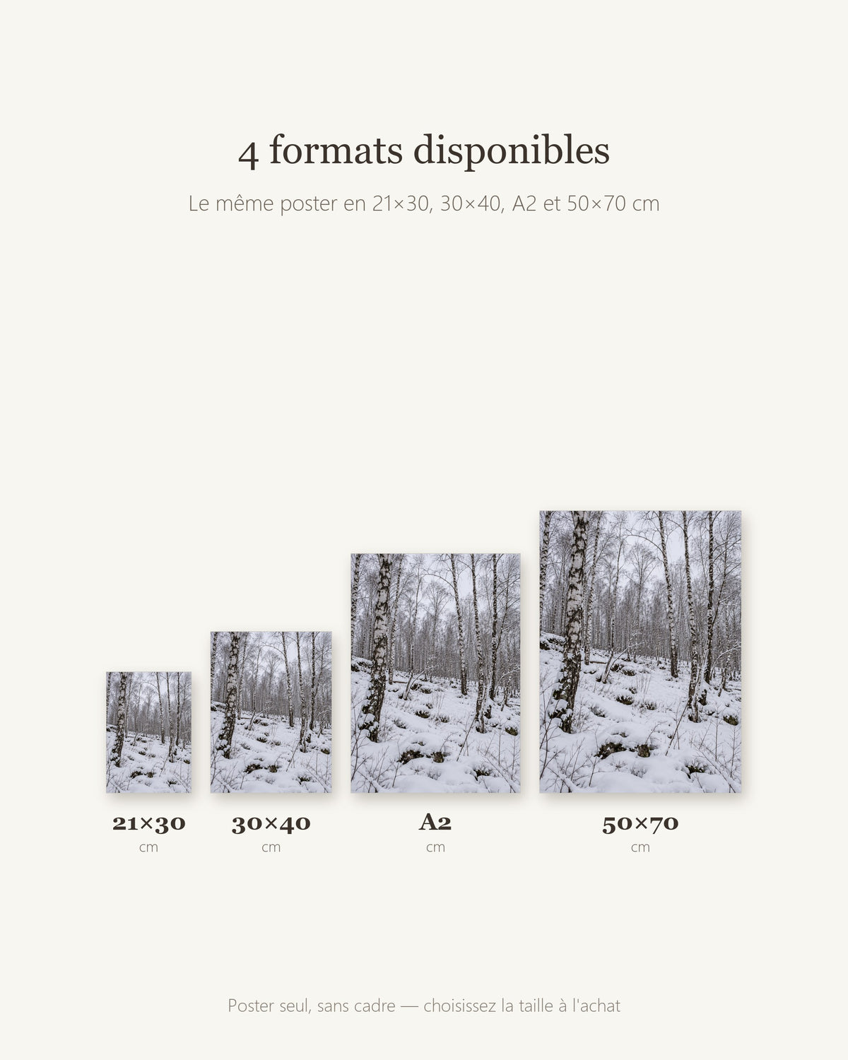 Poster Forêt de bouleaux sous la neige Sans Cadre - Affiche Nature - Papier Mat - Décoration Murale