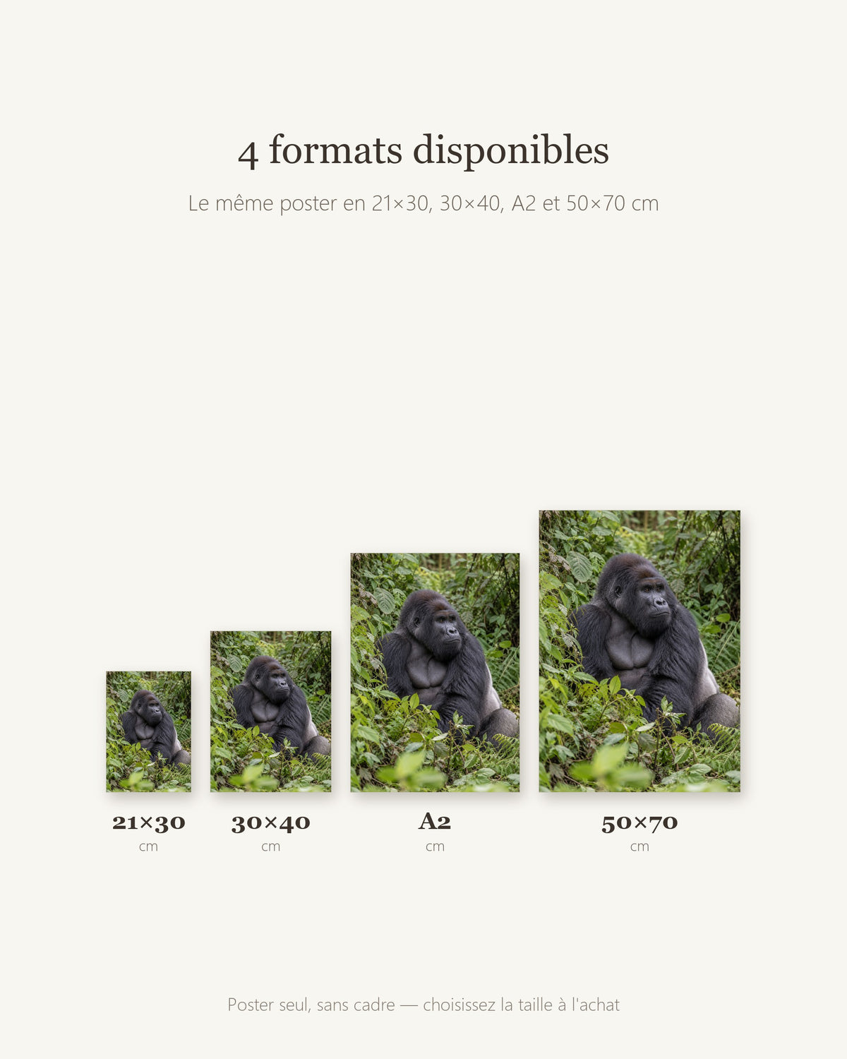 Poster Gorille de montagne Sans Cadre - Affiche Animaux Sauvages - Papier Mat - Décoration Murale