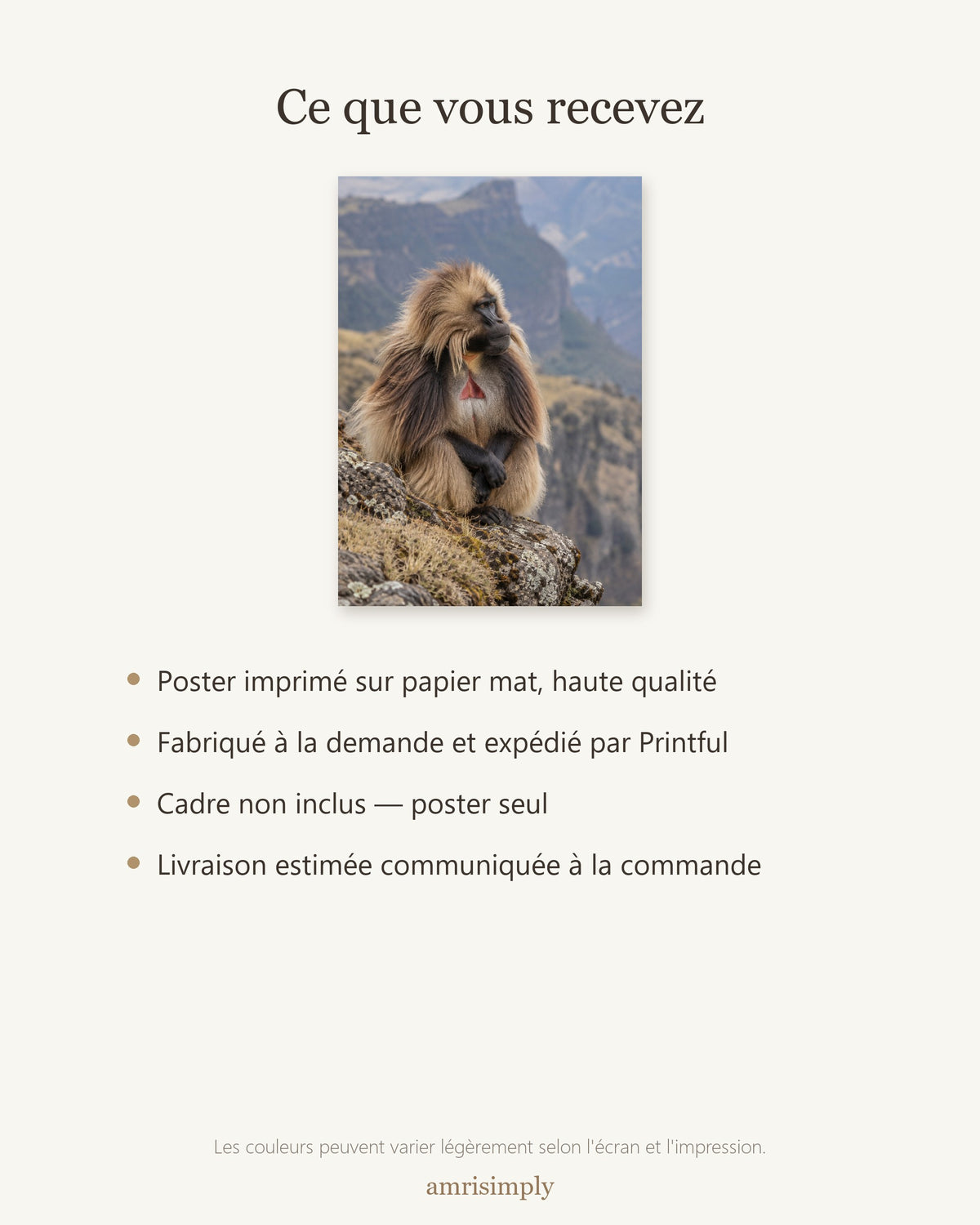 Poster Gelada monts Simien Sans Cadre - Affiche Animaux Sauvages - Papier Mat - Décoration Murale